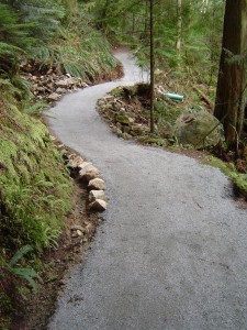 Trail tread 2